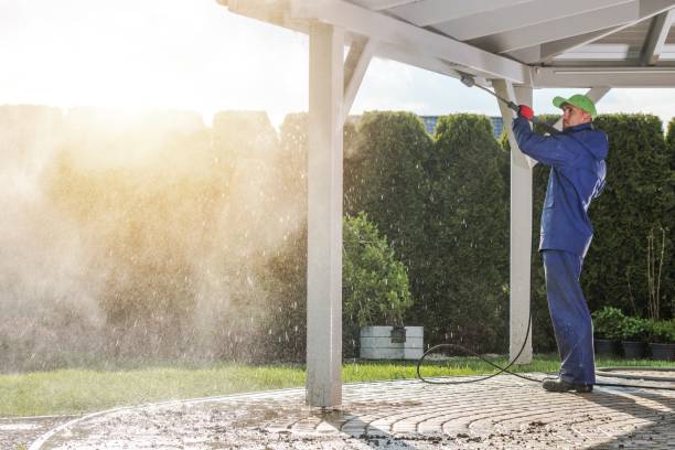 Best Roof Washing  in Roswell, GA